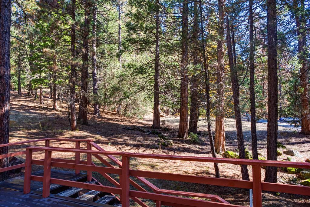 9B Deer Hollow Wawona Eksteriør bilde